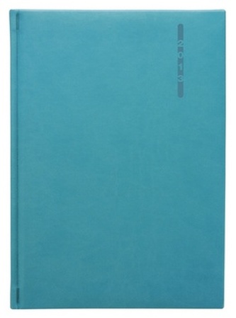 Diář 2013 denní A5 - Carina