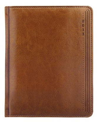 Diář 2013 denní B6 - Kastor