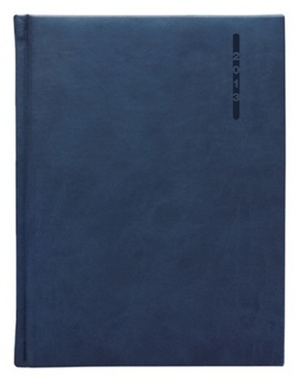 Diář 2013 denní B6 - Triton