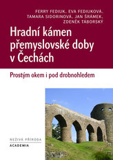 Hradní kámen přemyslovské doby v Čechách