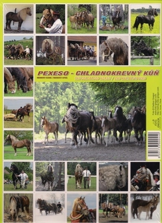 Pexeso sada koně Pexeso sada koně