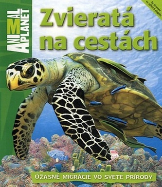 Zvieratá na cestách : úžasné migrácie vo svete prírody : [so stranami vo veľkosti plagátu] (Dwight Holing, 2012)