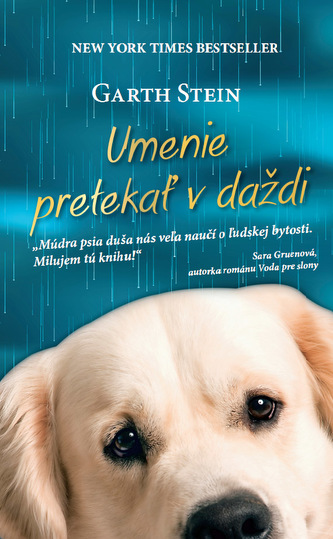 Umenie pretekať v daždi (Garth Stein, 2012)