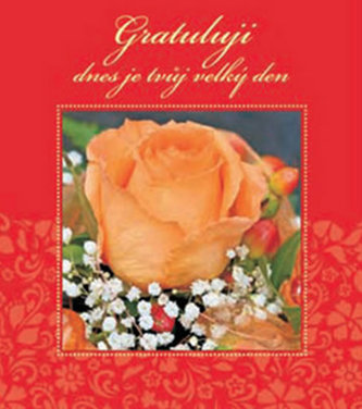 Gratuluji - dnes je tvůj velký den (, 2012)