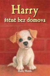 Obrázek knihy