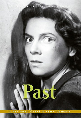 Past - DVD