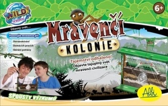 Mravenčí kolonie