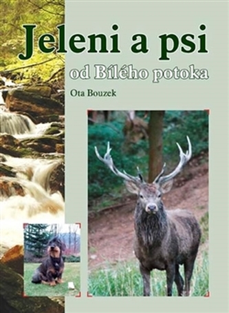 Jeleni a psi od Bílého potoka Jeleni a psi od Bílého potoka