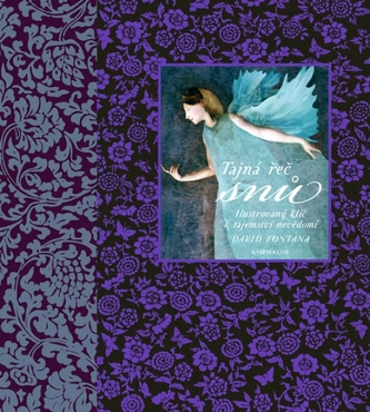 Tajná řeč snů : ilustrovaný klíč k tajemství nevědomí (David Fontana, 2011)