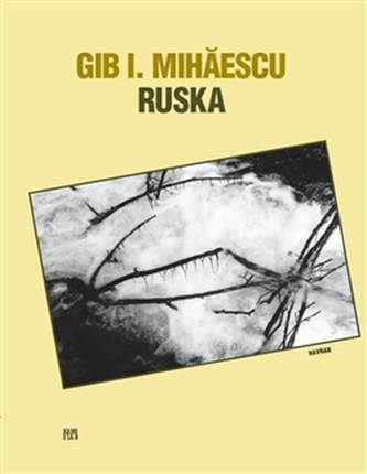 Ruska : strážní stanoviště poručíka Ragaiaca na Dněstru (Gib I Mihăescu, 2012)