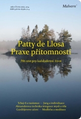 Praxe přítomnosti
