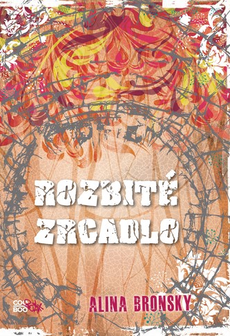 Rozbité zrcadlo : [2] (Alina Bronsky, 2014)