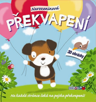 Překvapení - 3D prostorová knížka