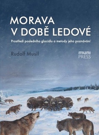 metody ledového jádra