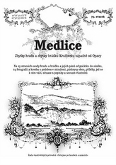Medlice