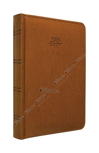 Diář 2014 - Kastor denní A6