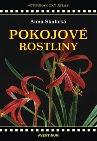 Pokojové rostliny