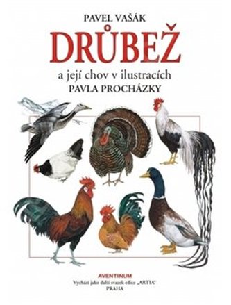 Drůbež