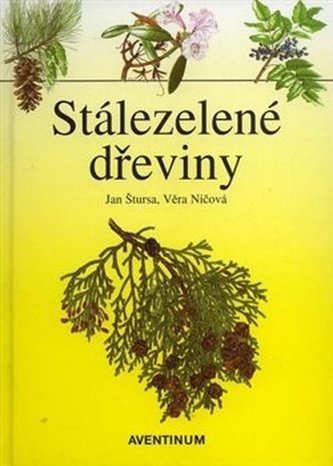 Stálezelené dřeviny
