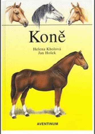 Koně (Helena Kholová, 2000)