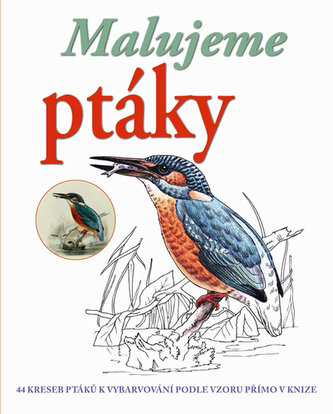 Malujeme a vybarvujeme ptáky