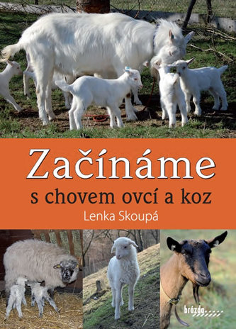 Začínáme s chovem ovcí a koz