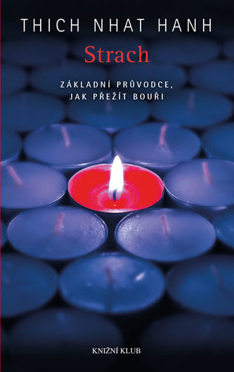 Strach. Základní průvodce, jak přežít bouři