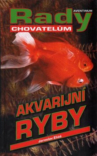 Akvarijní ryby - rady chovatelům