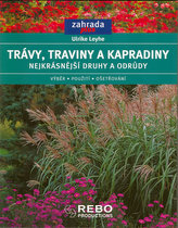 Trávy, traviny a kapradiny