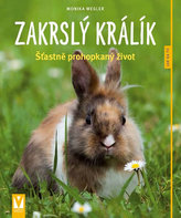 Zakrslý králík - Jak na to