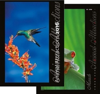 Kalendář nástěnný 2016 - Animal Attractions