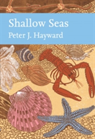 Shallow Seas Shallow Seas