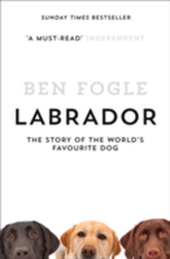 Labrador Labrador
