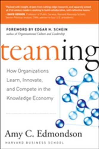 Teaming to Innovate