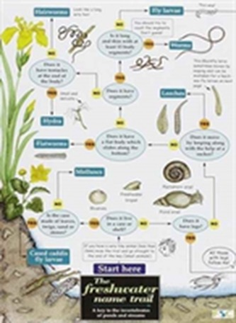 THE FRESHWATER NAME TRAIL THE FRESHWATER NAME TRAIL