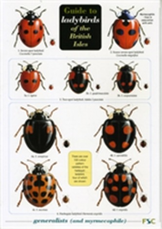 Guide to Lichens of Heaths and Moors