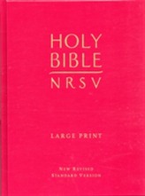 Holy Bible NRSV