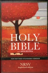 Holy Bible New Standard Revised Version