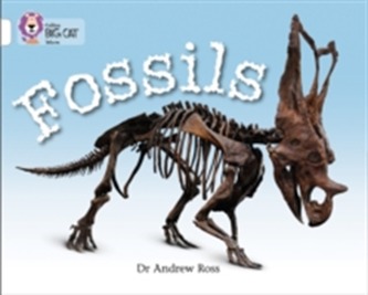 Fossils Fossils
