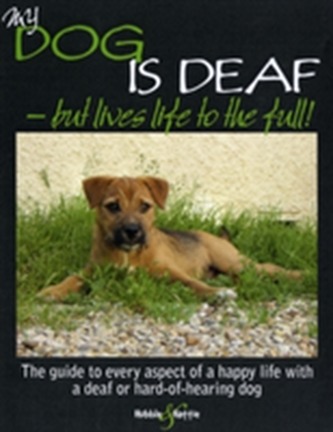 My Dog is Deaf
