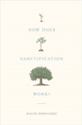 How Does Sanctification Work?