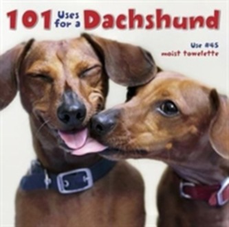 101 Uses for a Dachshund