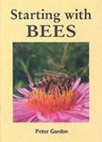 Starting with Bees