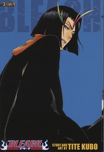 Bleach (3-in-1 Edition), Vol. 13