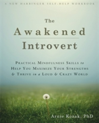 The Awakened Introvert The Awakened Introvert