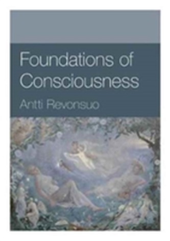 Foundations of Consciousness