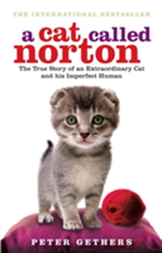 A Cat Called Norton A Cat Called Norton