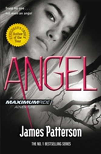 Maximum Ride: Angel Maximum Ride: Angel