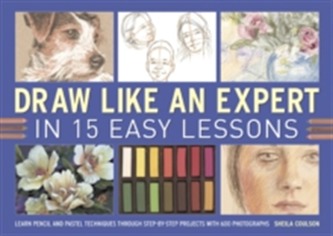 Draw Like an Expert in 15 Easy Lessons Draw Like an Expert in 15 Easy Lessons