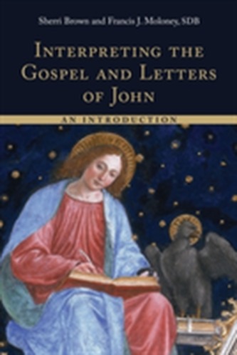 Interpreting the Gospel and Letters of John